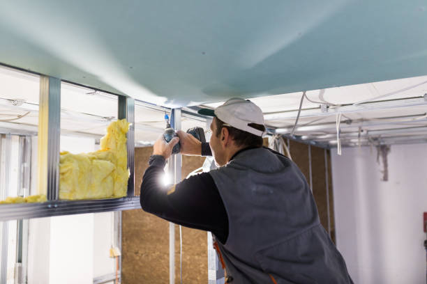 Best Insulation Maintenance and Repair in Worthington, OH