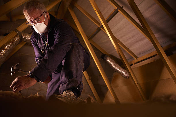 Best Geographic-Specific Insulation Services in Worthington, OH